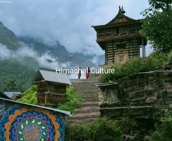 WhatsApp Image 2025-06-24 at 11.26.22 AM (2)